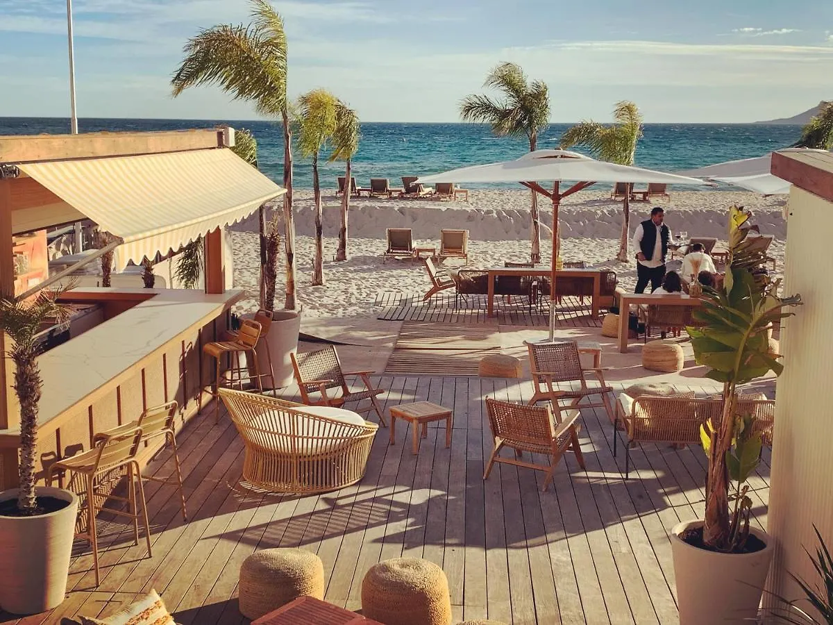 Festival De Palmiers, Plages-Congres, Cocon De Calme Au Coeur De Cannes