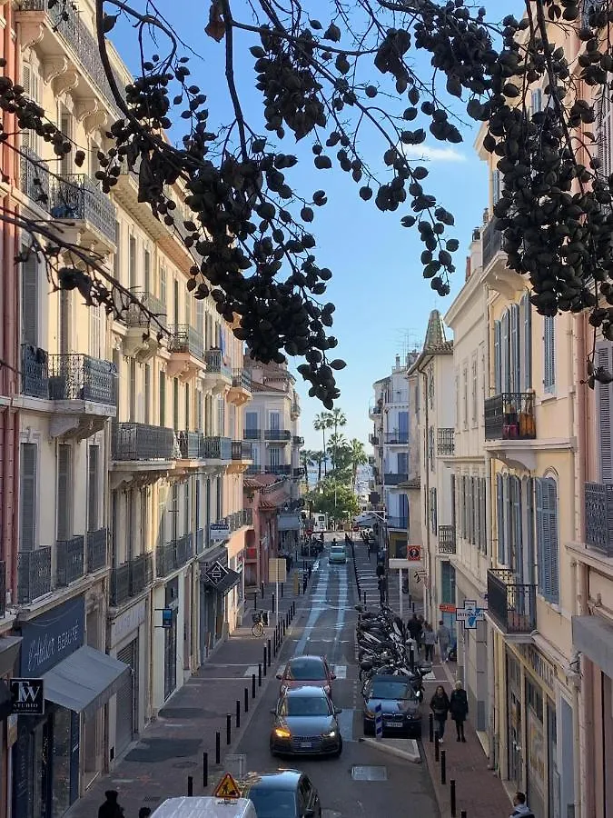 Festival De Palmiers, Plages-Congres, Cocon De Calme Au Coeur De Cannes França