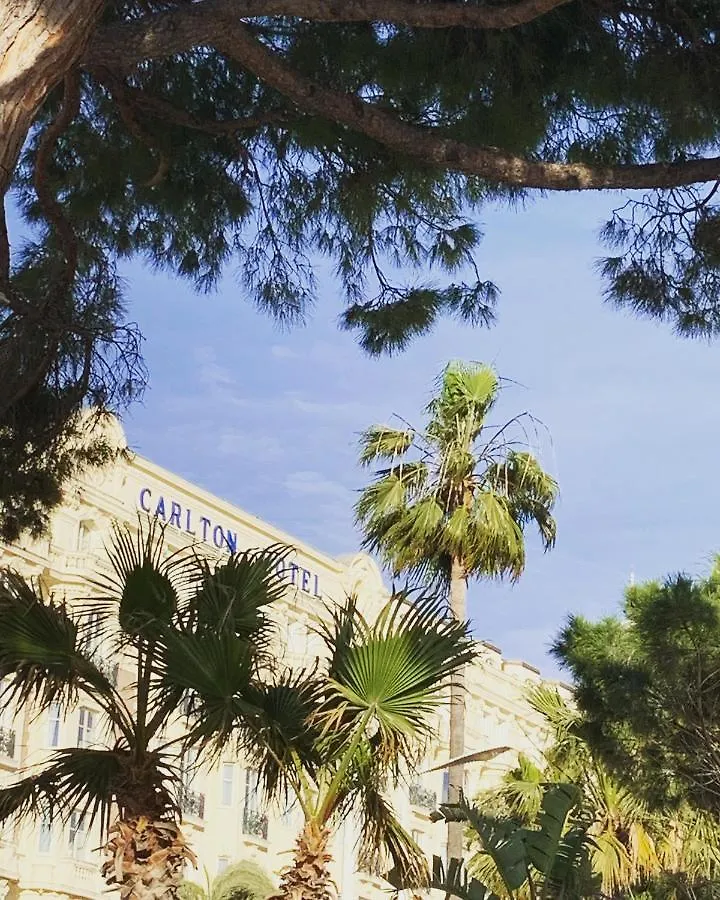 Festival De Palmiers, Plages-Congres, Cocon De Calme Au Coeur De Cannes França